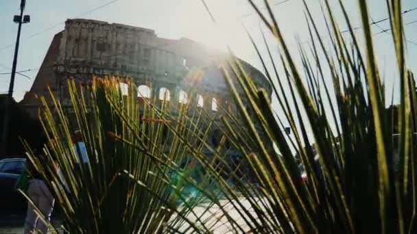El Coliseo de Roma. El sol brilla desde los arcos, en primer plano las plantas verdes — Vídeos de Stock