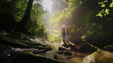 Bir kaç turist dağ nehir orman hayranım. Arkadan Görünüm. Güneş ışınlarının ağaçların arasından Parlatıcı. Macera ve Turizm