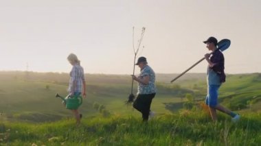 Büyük aile ağacı fide, bir kürek ve sulama olabilir bulunmaktadır. Pitoresk yeşil tepelerde. Ağaçlar, gönüllü çalışma, samimi bir aile tesisi için bir kavramdır