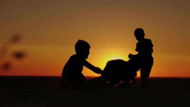 Két fiúk játszanak egy Németjuhász kiskutya naplementekor. Koncepció - egy boldog gyermekkor, a kedvenc kisállat — Stock videók