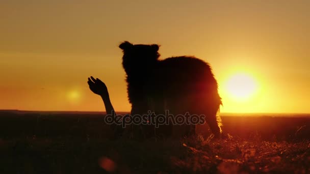 Um adolescente brinca com o teu cão favorito. Deita-se no chão, o cão brinca com ele. Ao pôr do sol — Vídeo de Stock