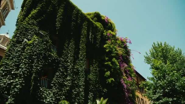 Casa triangular medieval, todo cubierto de hiedra. Casco antiguo de Roma, Italia — Vídeos de Stock