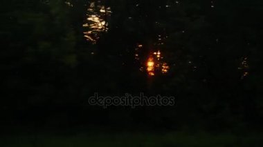 Güneş ışınlarının ağaçlarının silhouettes karanlık Parlatıcı. Şafak veya günbatımı hızlı hareket eden bir trenin görüntülemek