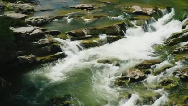 Sauberer Gebirgsfluss. Wasser kocht auf den Stromschnellen — Stockvideo
