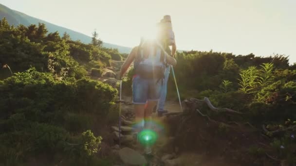 Koppel dat met een rugzak met trekking stokken stijgt het bergpad. In de stralen van de ondergaande zon. Achteraanzicht — Stockvideo