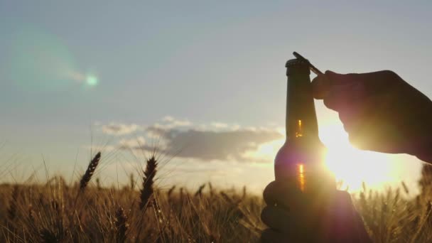 Silhouette der Flasche, die bei Sonnenuntergang in der Nähe des Weizenfeldes geöffnet wird — Stockvideo