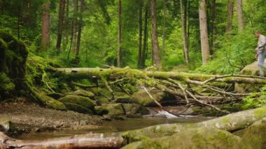 İki turist düşmüş bir ağaç boyunca dağ Nehri. Macera ve aktif bir şekilde yaşam