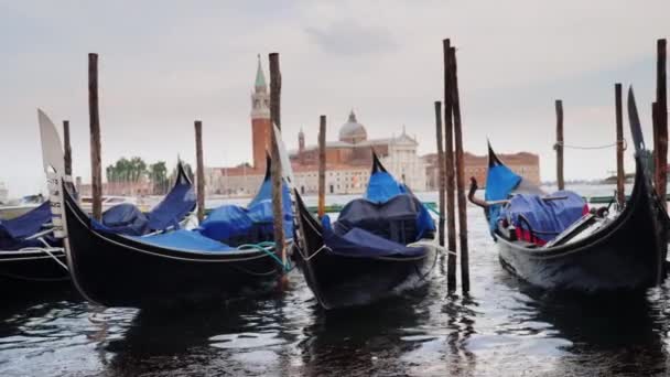 Гондолы на пирсе. Против городского пейзажа Венеции — стоковое видео