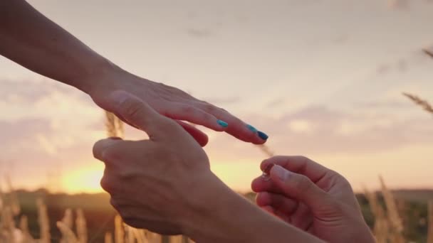 Un hombre viste a una mujer para un anillo de compromiso al atardecer. En el marco son visibles solo las manos — Vídeos de Stock