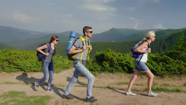 Група друзів мандрівників піднімається в гори. На тлі прекрасного гірського пейзажу з лісом. Туризм і активний здоровий спосіб життя — стокове відео