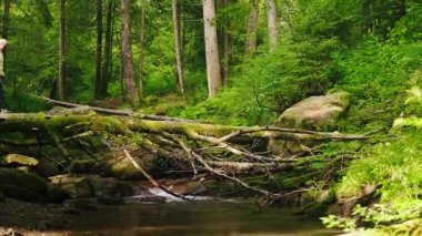 Bir gezgin bir kadın aşağı bir ceket ve bir sırt çantası ile bir dağ nehir üzerinde bir günlük haçlar..