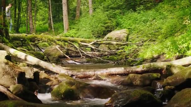 Un turista con una mochila está cruzando el río de la montaña a través de un árbol caído — Vídeo de stock