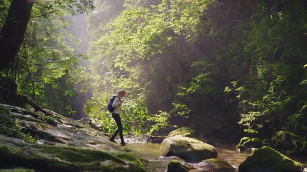 Un viajero solitario en el bosque cruza un río de montaña. Perdido en la selva — Vídeo de stock