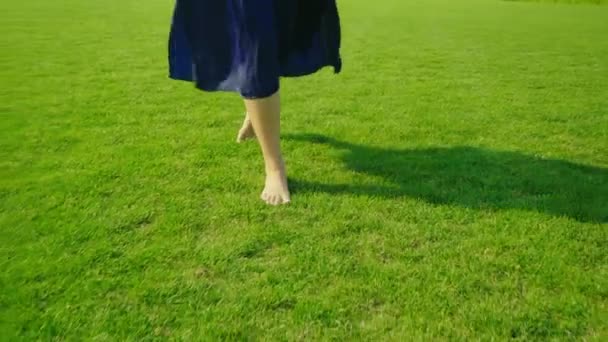 Barefooted female legs walking on green grass. Steadicam slow motion video — Stock Video