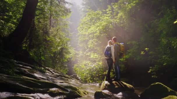 Una coppia di viaggiatori viene fotografata in un luogo pittoresco in una foresta vicino a un fiume di montagna . — Video Stock