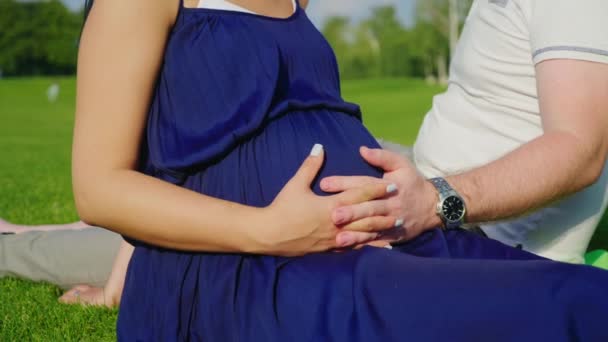 El marido sostiene sus manos sobre el vientre de su esposa embarazada — Vídeos de Stock
