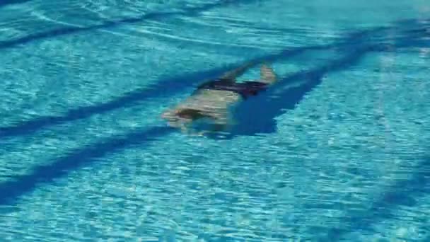 Um jovem gosta de nadar na piscina. Grandes férias — Vídeo de Stock
