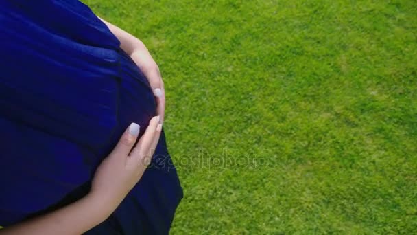 Uma mulher grávida caminha descalça na relva. Mantém as mãos na barriga. POV vídeo — Vídeo de Stock