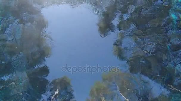 Ein Mann schwimmt im Pool, schwimmt über die Kamera. Unterwasservideo — Stockvideo