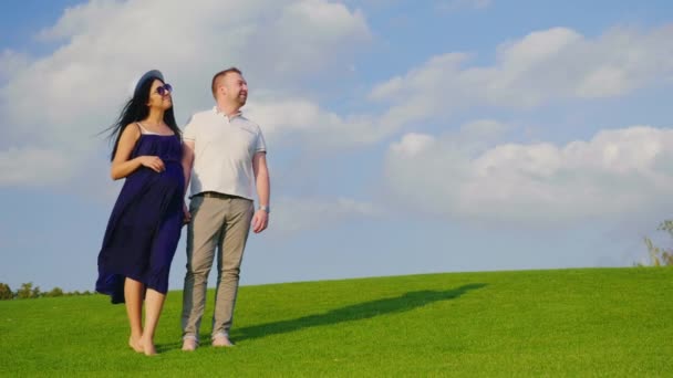 Young couple in anticipation of a child. The husband with his pregnant wife is standing on a meadow, looking forward — Stock Video