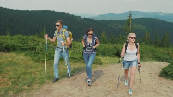 Un grupo de jóvenes escalan una montaña. Amigos en caminata — Vídeos de Stock