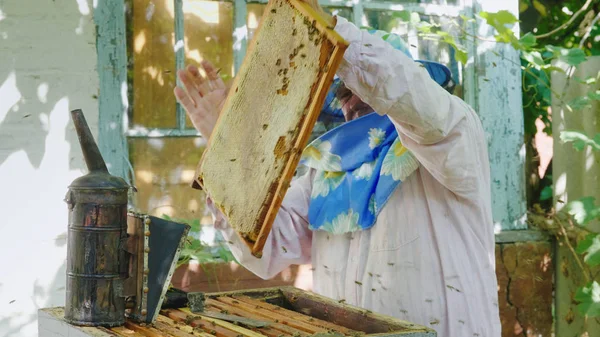 Imker inspiziert Gestelle mit Bienen, arbeitet im Bienenhaus — Stockfoto