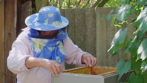 Пчеловод в маске работает рядом с открытым ульем с пчелами. — стоковое видео