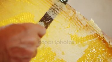 Arıcı petek bir bıçak ile açılır. Yakın çekim vurdu