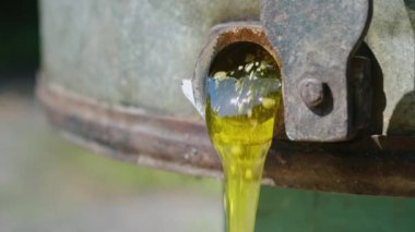 Bir küçük ev arı kovanı bal üretimi. Tatlım tatlım makine musluktan akan