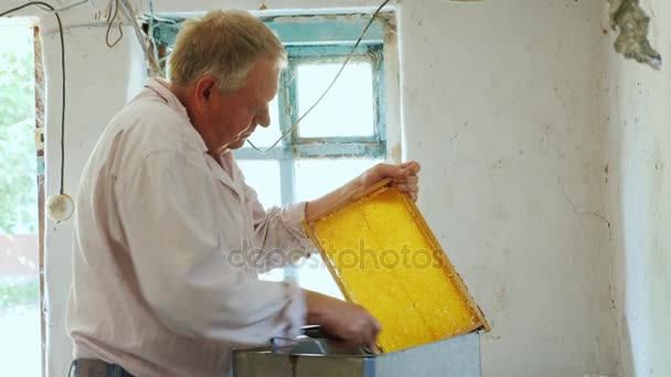 El apicultor senior trabaja con marcos para la miel. Trabajo manual en el colmenar — Vídeos de Stock