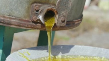 Bir küçük ev arı kovanı bal üretimi. Tatlım tatlım makine musluktan akan