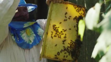 Bir çerçeve bal tutan bir açık arı kovanı ile çalışan bir arıcı portresi