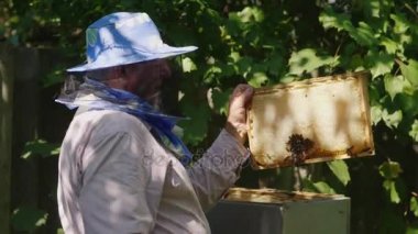 Maskeli arıcı yakınındaki açık bir kovan arı ile çalışır