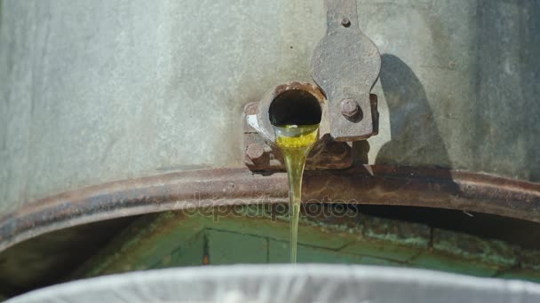 Fresh unfiltered honey flows out of the honey machine. The hand opens the crane. Low angle shot — Stock Video