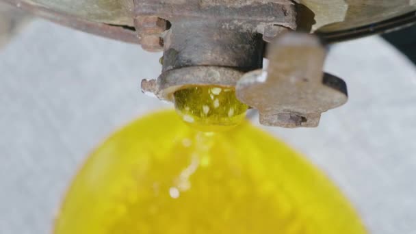 Mel fresco não filtrado flui para fora da máquina de mel. Vista superior — Vídeo de Stock
