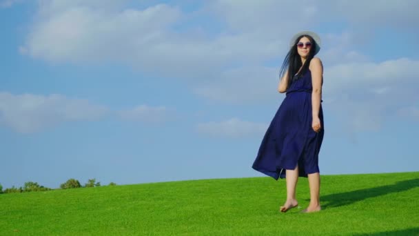 Egy elegáns, fiatal terhes nő állva egy zöld rét közepén, a kék ég háttér — Stock videók