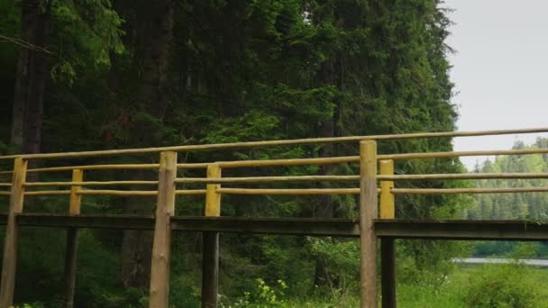 Ένα ζευγάρι από τους τουρίστες με τα πόδια με προσοχή πάνω από μια γέφυρα πάνω από ένα ποτάμι βουνό — Αρχείο Βίντεο
