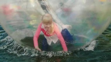 Havuzda yüzen bir şeffaf topun içinde dört ayak üzerinde çalıştırmak için onun eğlenceli. Su aktiviteleri