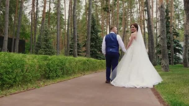 Η νύφη και ο γαμπρός είναι το περπάτημα στο πάρκο. Πίσω όψη. Steadicam βολή — Αρχείο Βίντεο