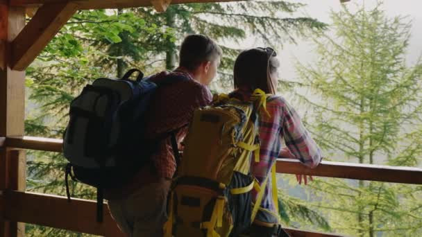 Вид сзади: Пара туристов любовались прекрасным видом на лес с смотровой площадки. На закате — стоковое видео