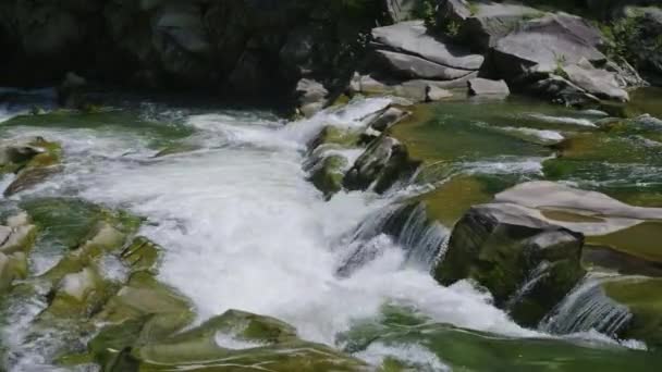 A beautiful mountain river. The water is boiling on the rocks — Stock Video