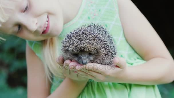 A happy child holds a small hedgehog in his hands. Children and wildlife, a well-healed and caring concept.