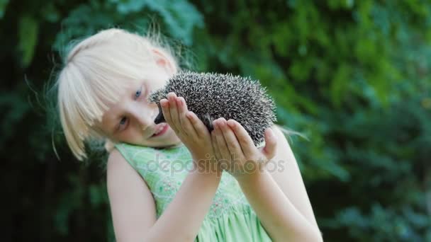 Uma menina e um pequeno ouriço em suas mãos — Vídeo de Stock