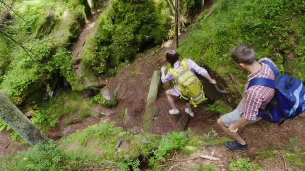 Vrienden gaan op de weg van een steile berg. Reizen en avonturen in het bos, actieve manier van leven — Stockvideo