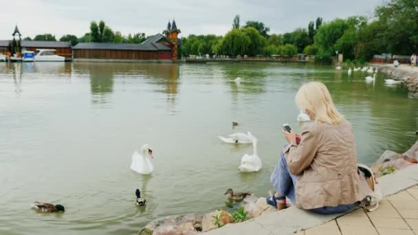 Eine junge Frau sitzt mit Schwänen am See. nutzt ein Smartphone. — Stockvideo