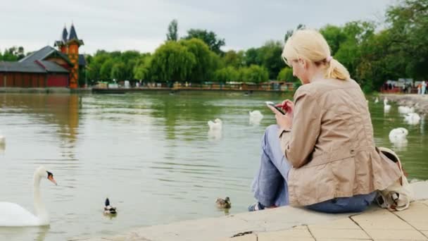 Всегда на связи. Молодая женщина отдыхает у озера, используя смартфон. Рядом с лебеди плавают — стоковое видео