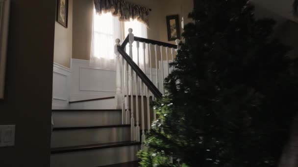 Un hombre lleva un árbol de Navidad por las escaleras. Preparación para los conceptos de Navidad y Nochevieja — Vídeos de Stock