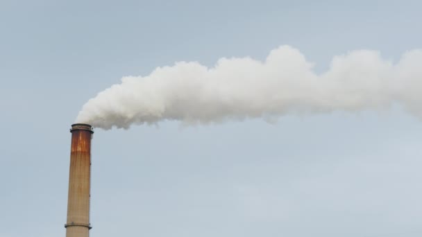 Tubería de una central térmica o planta, hay un humo blanco grueso — Vídeos de Stock