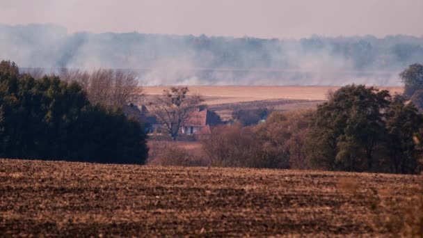 Paisagem rural no outono. Campo agrícola colhido, fumaça de fogueiras e a casa de agricultores em segundo plano — Vídeo de Stock