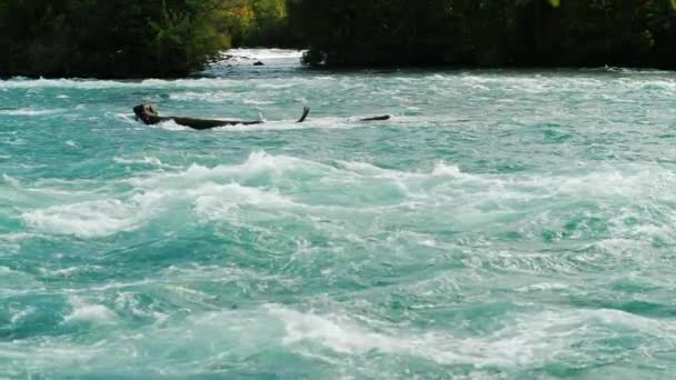 De snelle stroom van de rivier de Niagara. Slow Motion Picture — Stockvideo